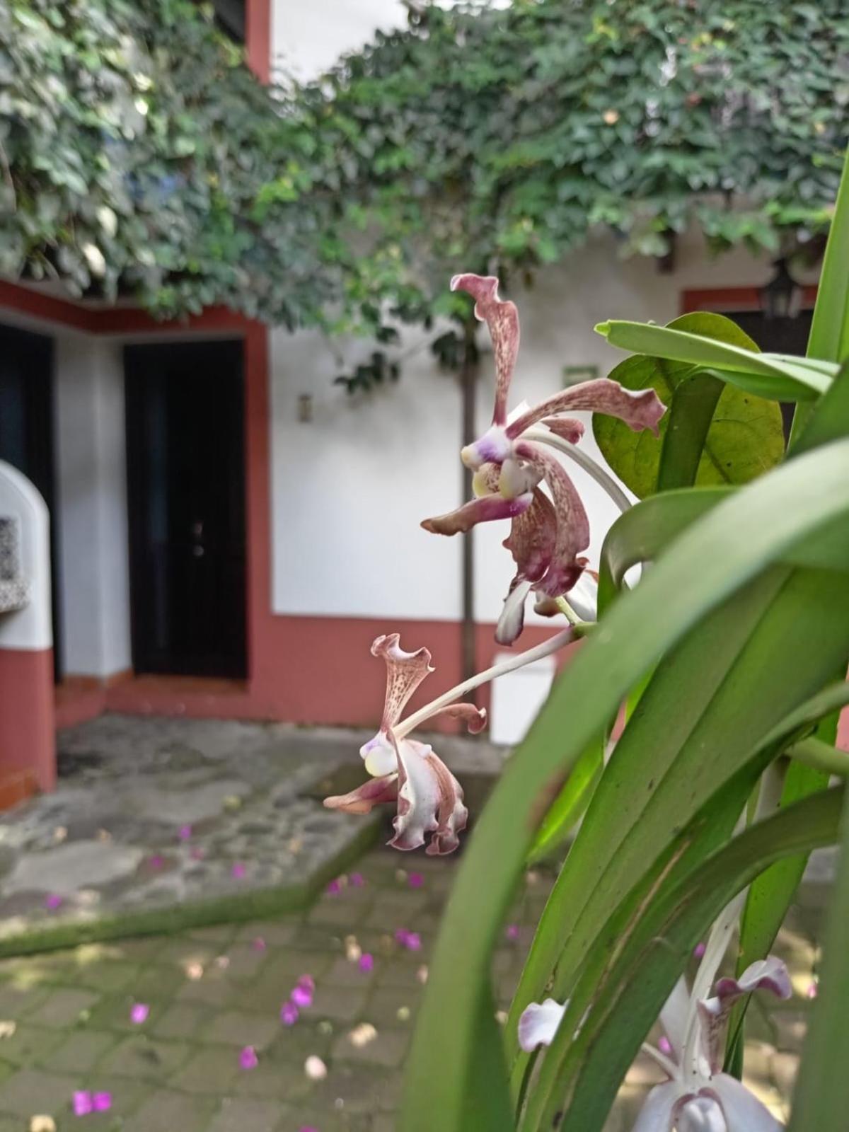 Hotel Boutique Casabella Coatepec  Luaran gambar