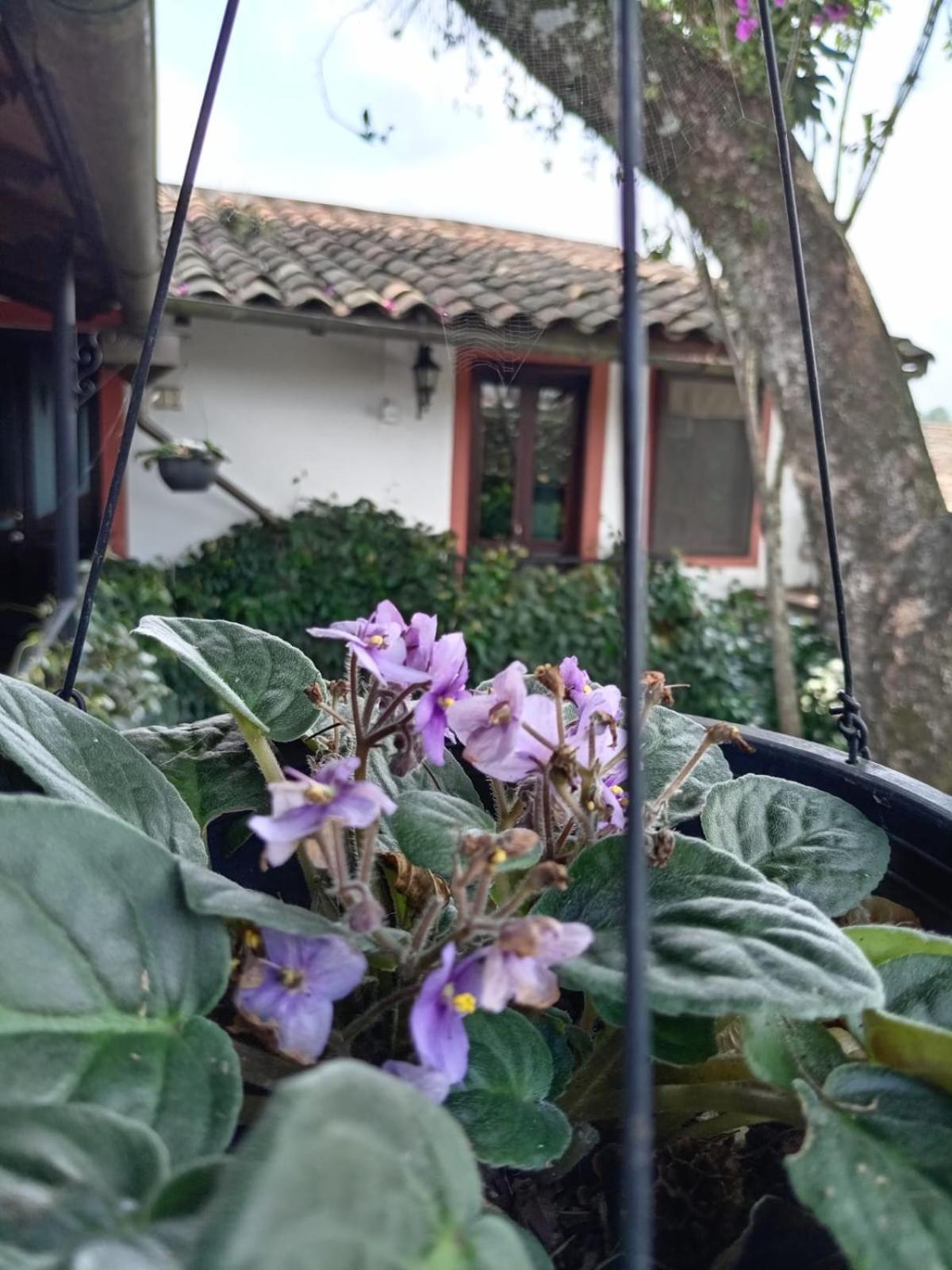 Hotel Boutique Casabella Coatepec  Luaran gambar