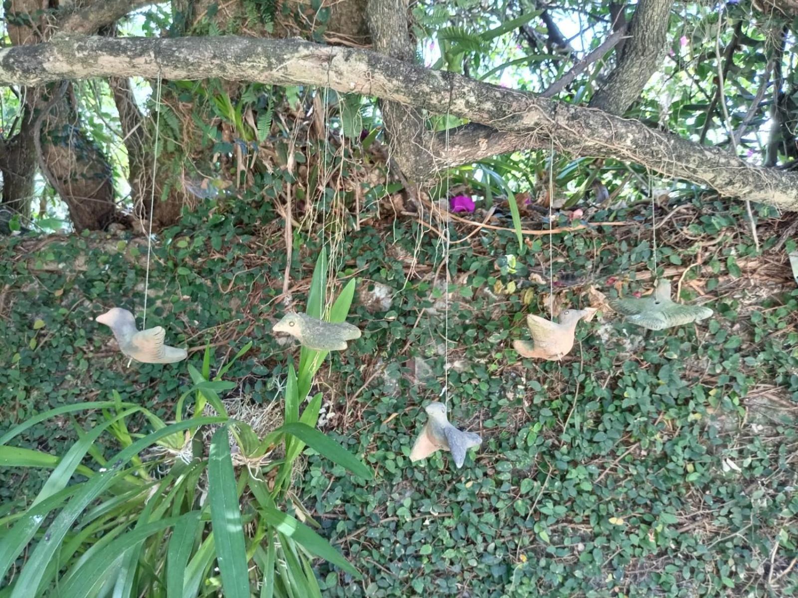 Hotel Boutique Casabella Coatepec  Luaran gambar