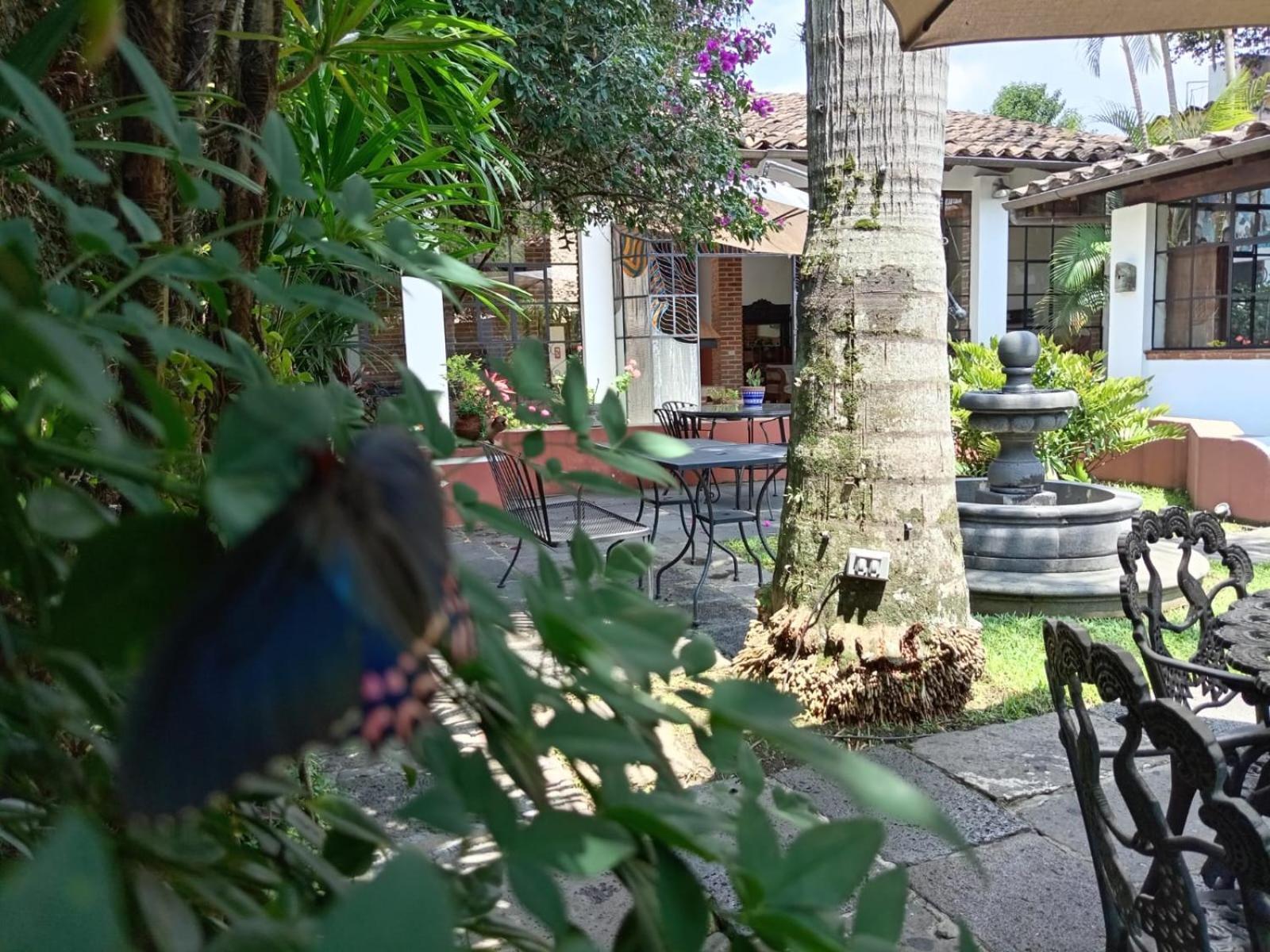 Hotel Boutique Casabella Coatepec  Luaran gambar